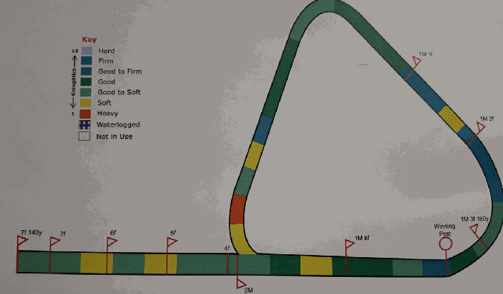 Turf Track Condition 20180811